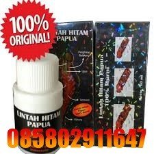 Jual Minyak Lintah Papua Asli Di Jayapura 085802911647 COD