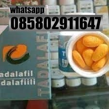 Agen Jual Obat Kuat Cialis Asli Di Samarinda 085802911647 Alamat Obat Cialis Tadalafill Cod