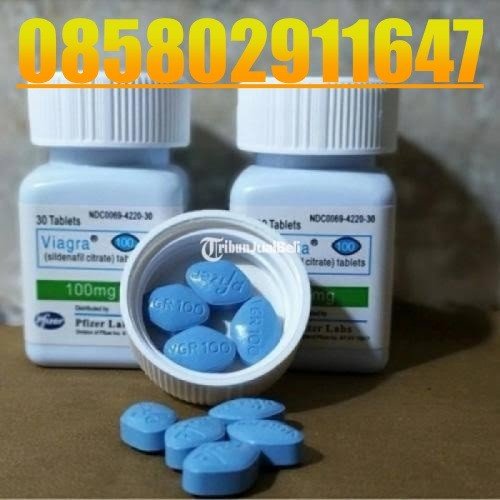 Agen Jual Obat Kuat Viagra Asli Di Benda 085802911647 Alamat Obat Viagra Usa cod