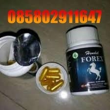 Jual Obat Forex Hendel Asli Di Pati 085802911647 alamat Obat Pembesar Penis COD